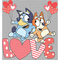 Valentine's Day-QRJ  6807